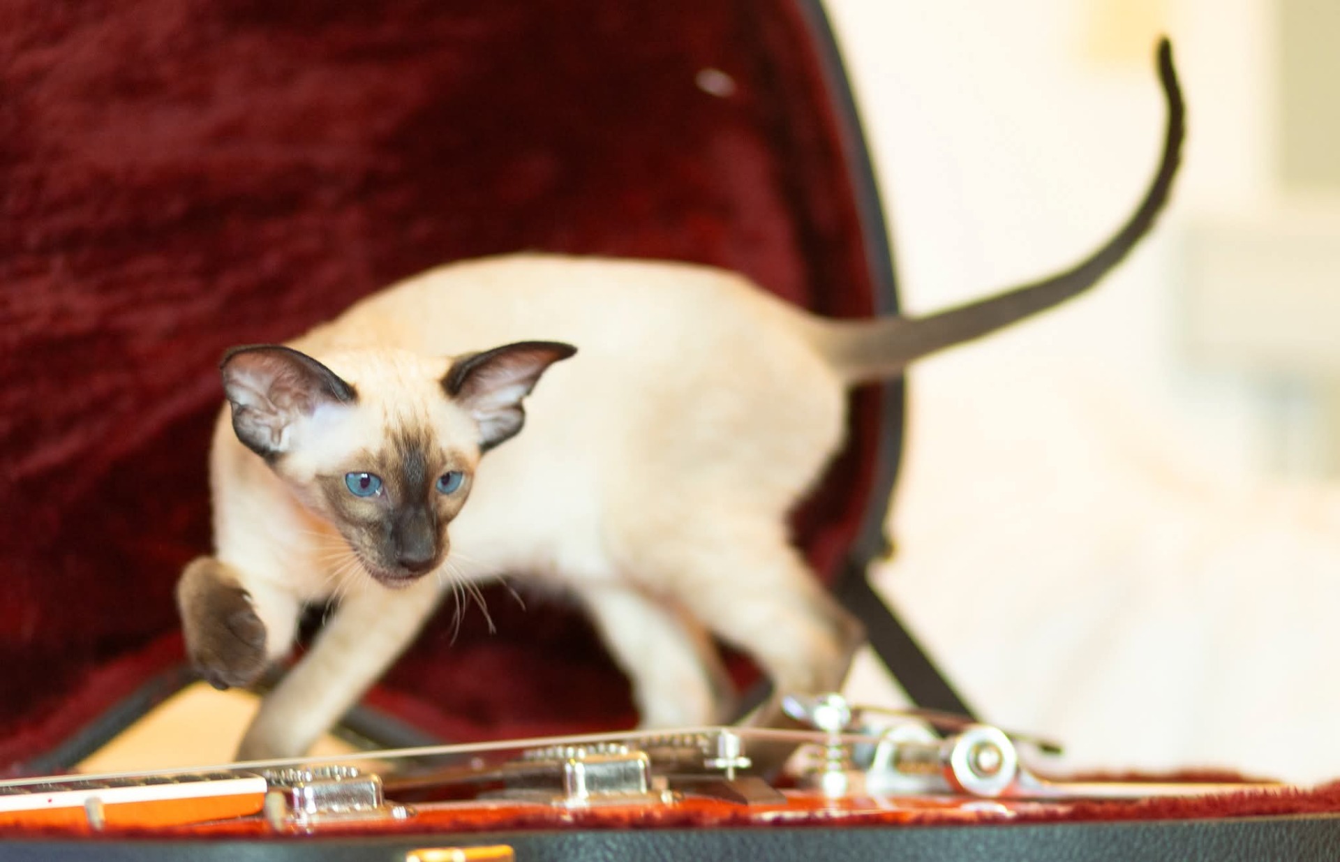 Kuva: Katja Patrikainen